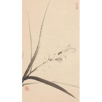 黄梦洁国画花鸟活色生香(8)字画之家