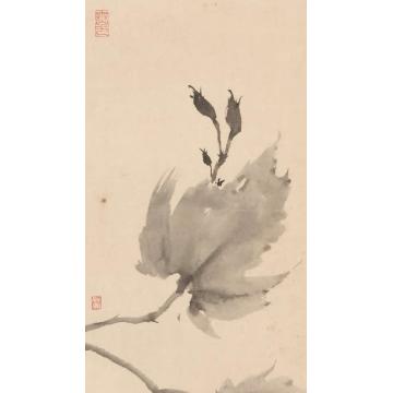 黄梦洁国画花鸟活色生香(9)字画之家
