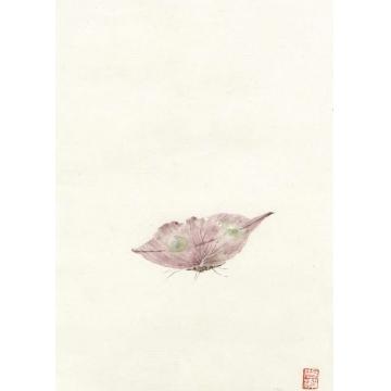 黄梦洁国画花鸟册页杂画图(5)字画之家
