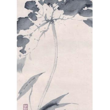 黄梦洁国画花鸟册页杂画图(13)字画之家