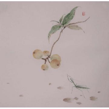 黄梦洁国画花鸟吉光片羽（2）字画之家