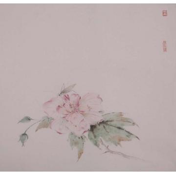 黄梦洁国画花鸟吉光片羽（8）字画之家