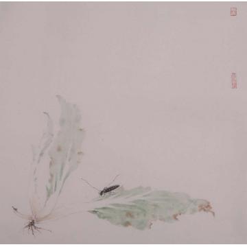 黄梦洁国画花鸟吉光片羽（10）字画之家