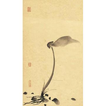 黄梦洁国画花鸟册页作品(12)字画之家