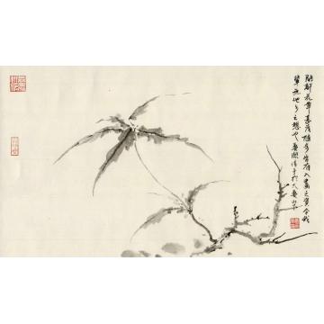 黄梦洁国画花鸟水墨日课（一）字画之家