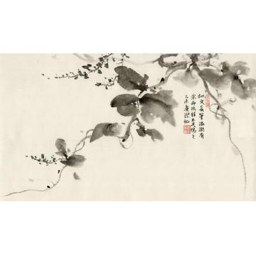 黄梦洁国画花鸟水墨日课（三）字画之家