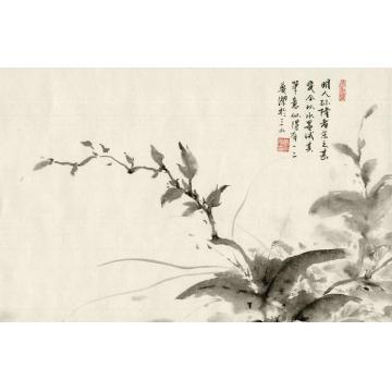 黄梦洁国画花鸟水墨日课（四）字画之家