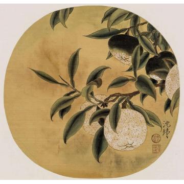 沈玮国画花鸟绿橘图字画之家