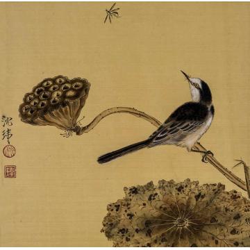 沈玮国画花鸟疏荷沙鸟图字画之家