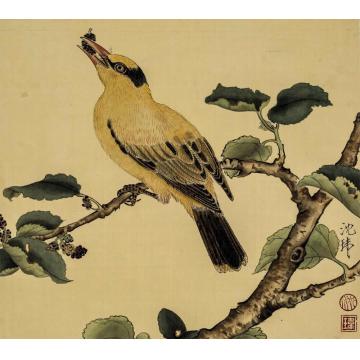 沈玮国画花鸟桑枝黄鸟图字画之家