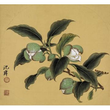 沈玮国画花鸟夜合花图字画之家