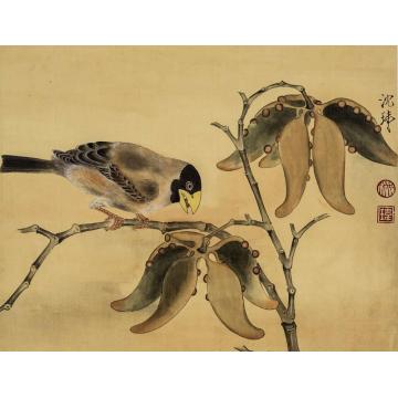 沈玮国画花鸟梧桐腊嘴图字画之家