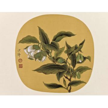 沈玮国画花鸟仿古作品008字画之家