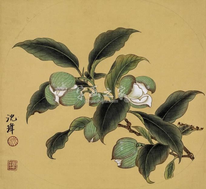国画家沈玮字画之家
