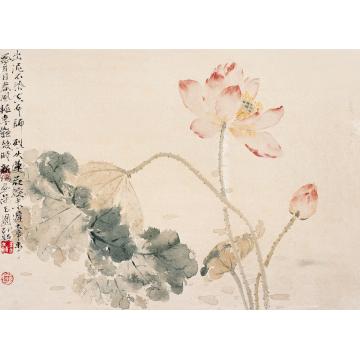 马新阳国画花鸟怅望凉风字画之家