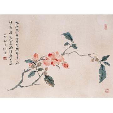 马新阳国画花鸟十一月茶花 一种天香字画之家