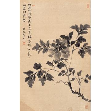 马新阳国画花鸟末作花王影字画之家