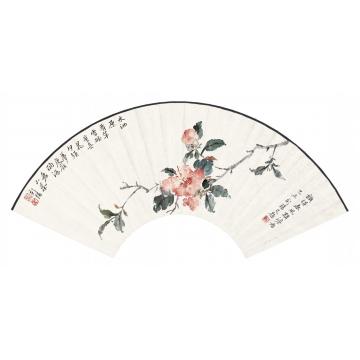 马新阳国画花鸟酌酒看山茶字画之家