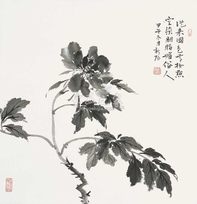 国画家马新阳字画之家