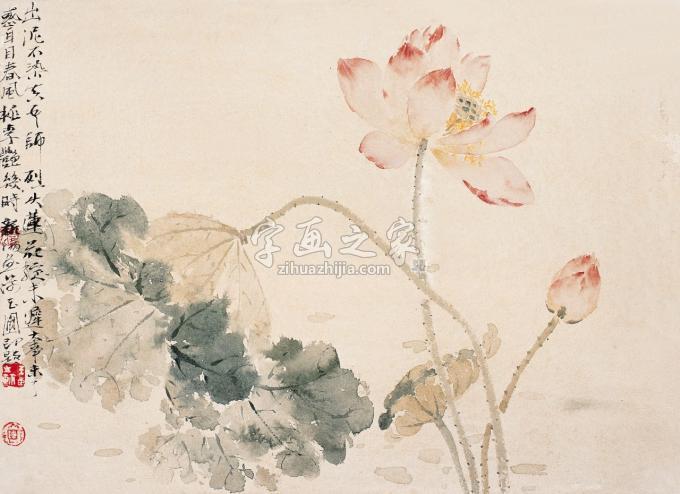 国画家马新阳字画之家