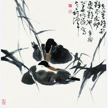 董振涛国画花鸟作品1 (5)字画之家
