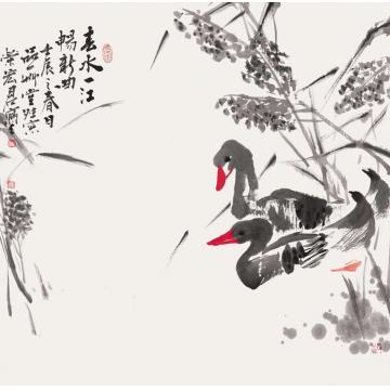 荣宏君国画花鸟春水字画之家