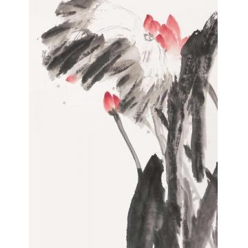 王福林国画花鸟雨洗净珠浮翠盖(局部)字画之家