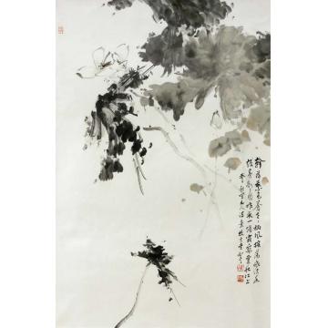 陈如冬国画花鸟寂寞残荷字画之家