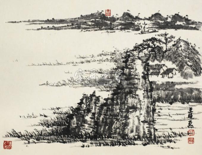 国画家王晓字画之家