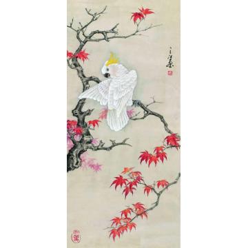 周之江国画花鸟红枫白鹦图字画之家