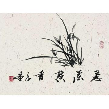 周之江国画花鸟兰字画之家
