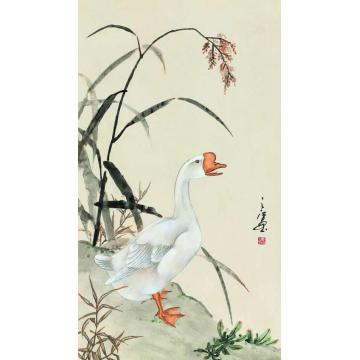 周之江国画花鸟芦鹅图字画之家