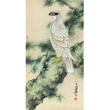 周之江国画花鸟白鹰图字画之家