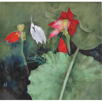 石君国画花鸟新荷字画之家