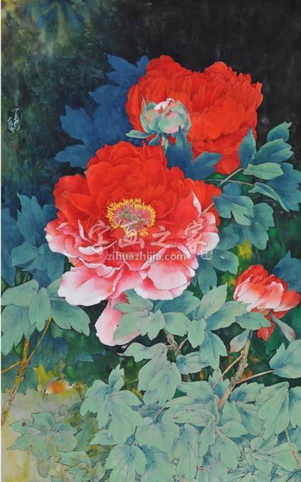 国画家石君字画之家