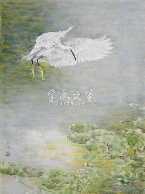 国画家石君字画之家