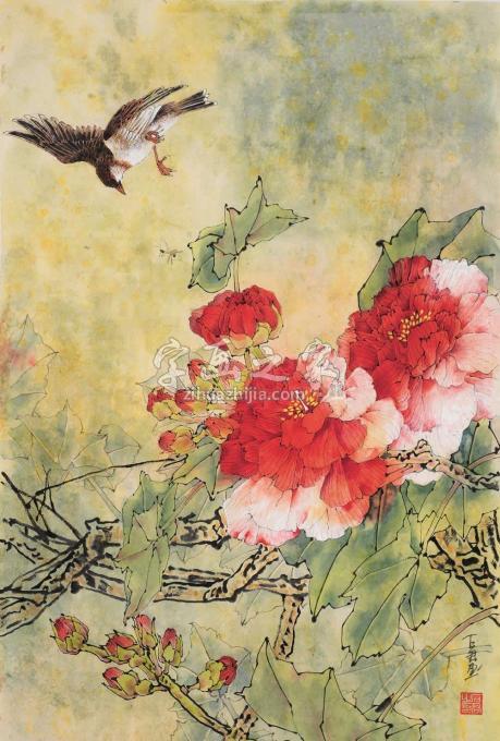 国画家石君字画之家