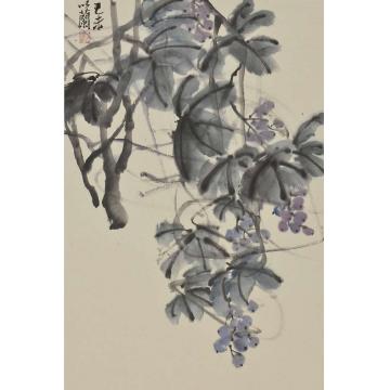 朱卫新国画花鸟葡萄字画之家