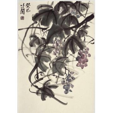 朱卫新国画花鸟葡萄字画之家