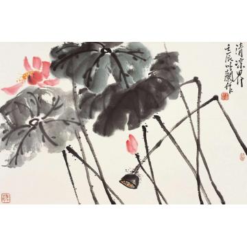 朱卫新国画花鸟清凉界字画之家