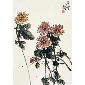 朱卫新国画花鸟晚节寒香字画之家