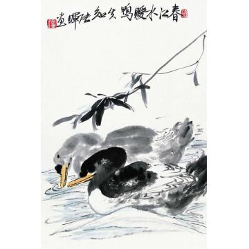 张晖国画花鸟春江水暖鸭先知字画之家