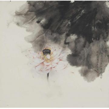 吴文莉国画花鸟如梦令字画之家