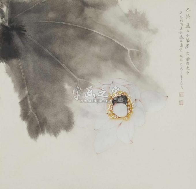 国画家吴文莉字画之家