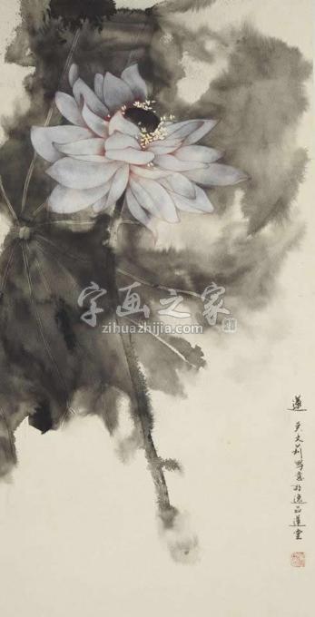 国画家吴文莉字画之家
