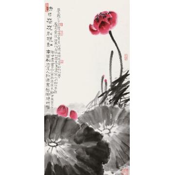 黄养辉国画花鸟映日荷花别样红字画之家