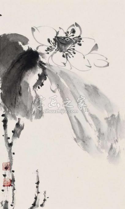 书法家鹿芸薇字画之家