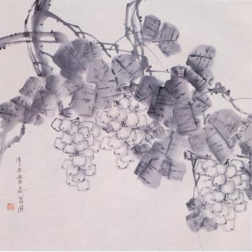 何百明国画花鸟满架露珠 Dew in the Vineyard字画之家