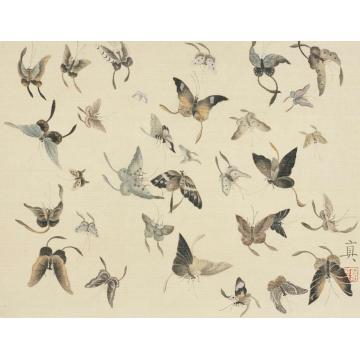 顾真真国画花鸟顾真真-孤恋花系列27字画之家