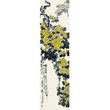 赵普国画花鸟悬崖菊字画之家